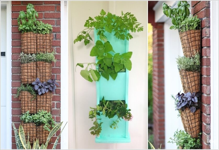 Ideas to Design a Vertical Garden 