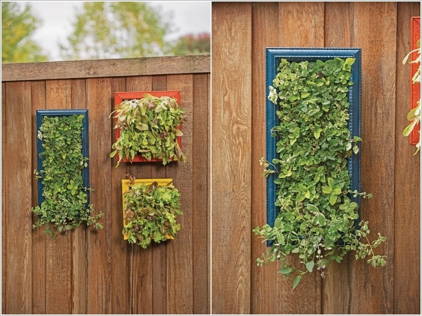 Ideas to Design a Vertical Garden 