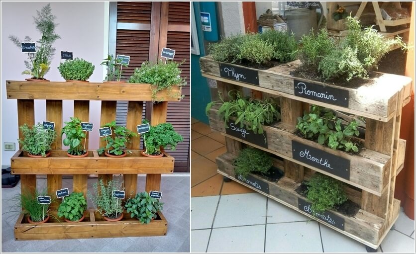 Ideas to Design a Vertical Garden 