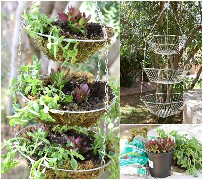 Ideas to Design a Vertical Garden 