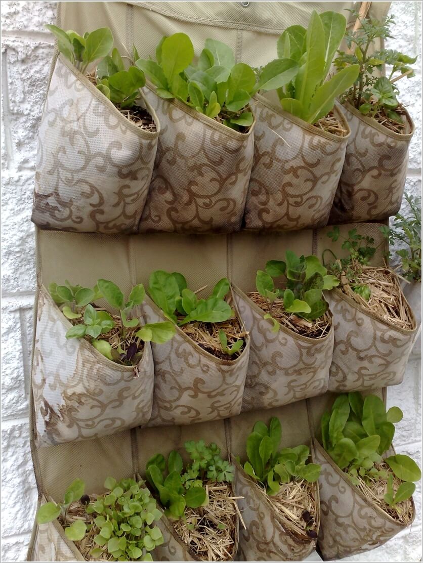 Ideas to Design a Vertical Garden 