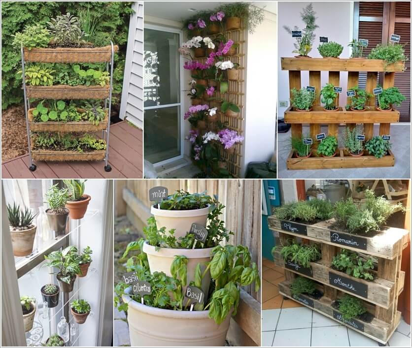 Ideas to Design a Vertical Garden 