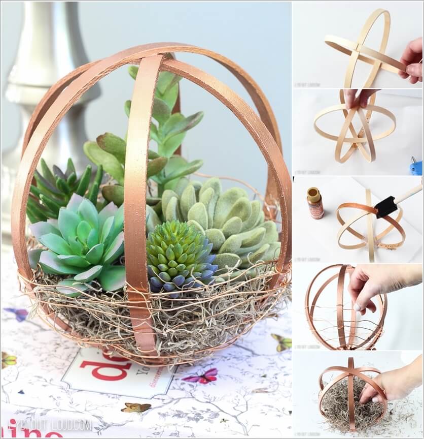 diy terrarium