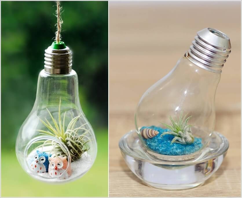 diy terrarium