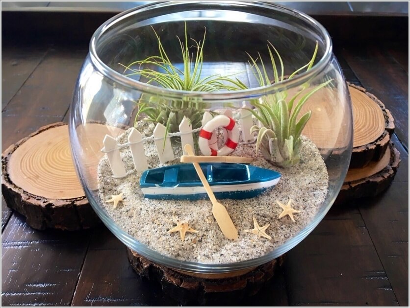 diy terrarium