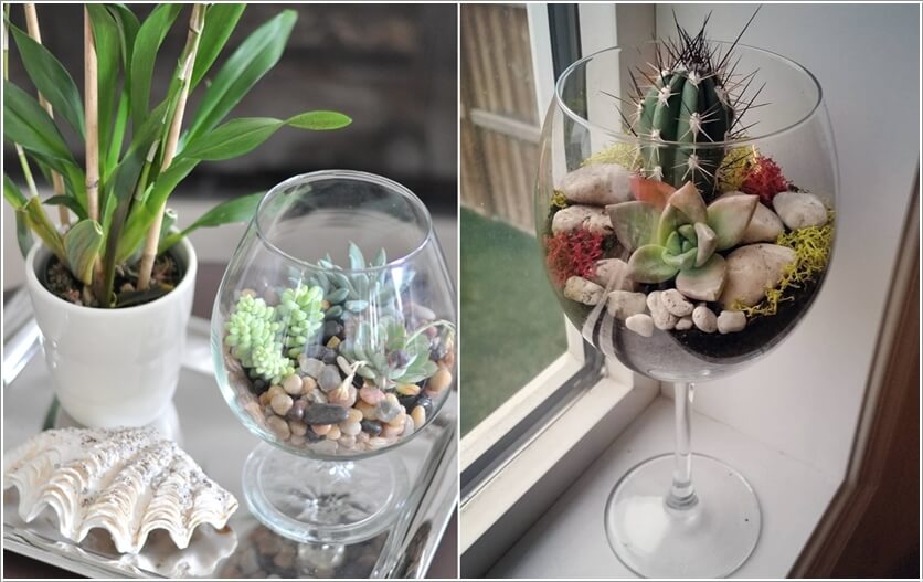 diy terrarium