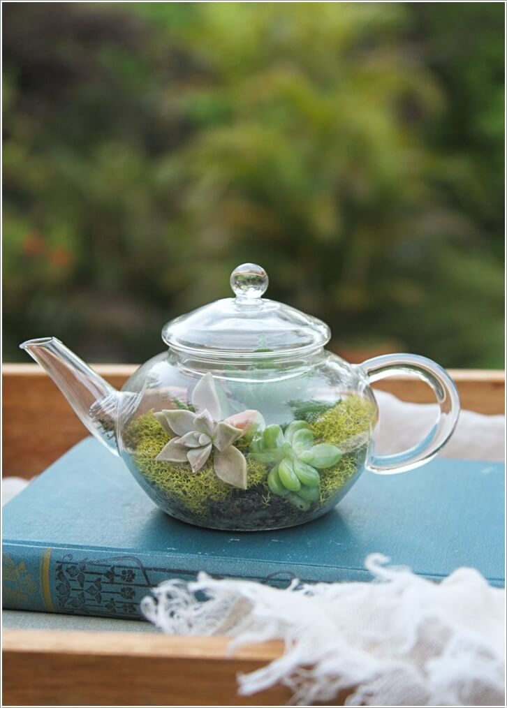 diy terrarium