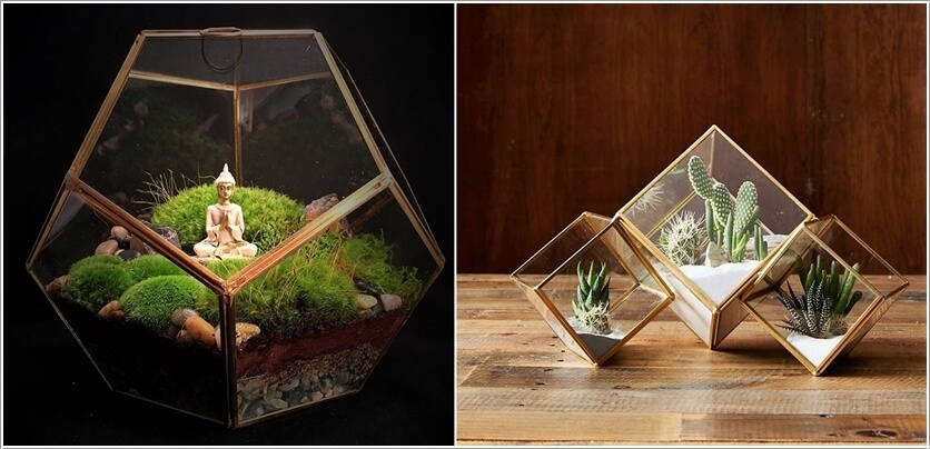diy terrarium