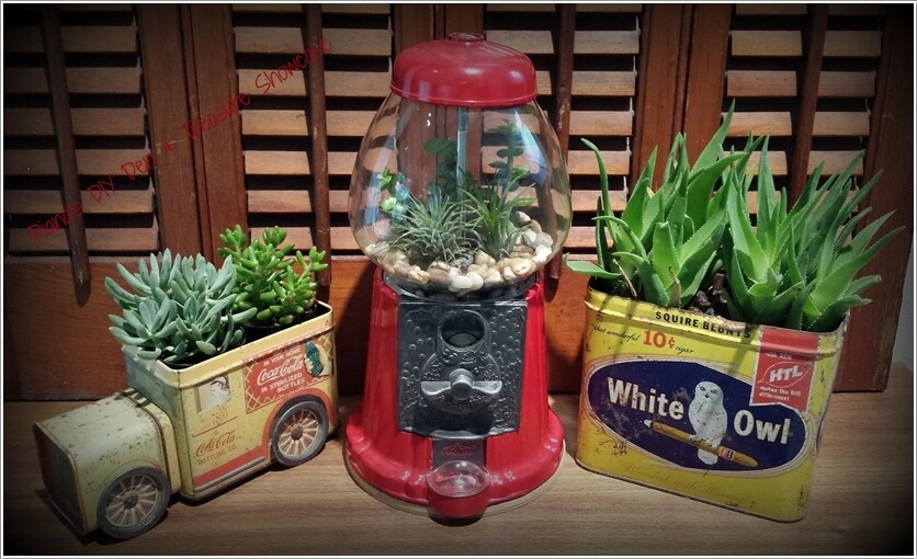 diy terrarium