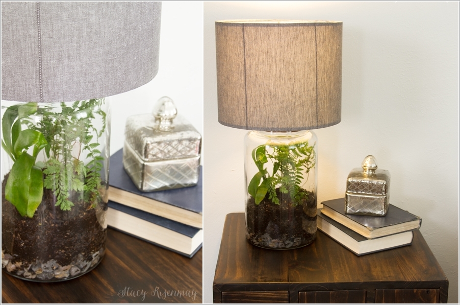 diy terrarium