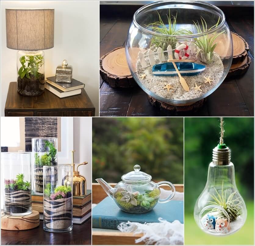diy terrarium