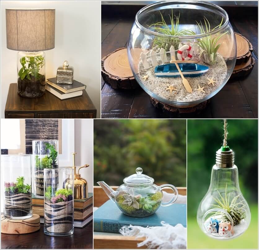 diy terrarium 