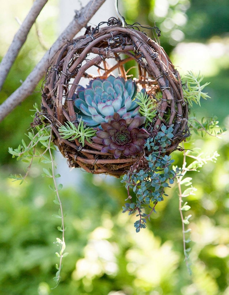 DIY Hanging Planter