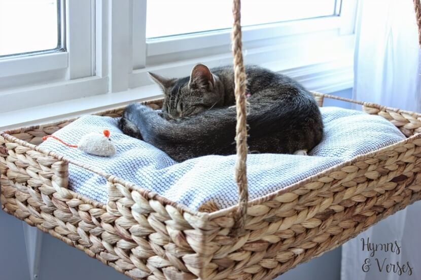 DIY Cat Bed