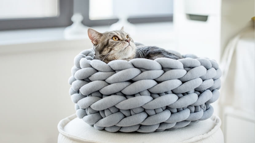 DIY Cat Bed