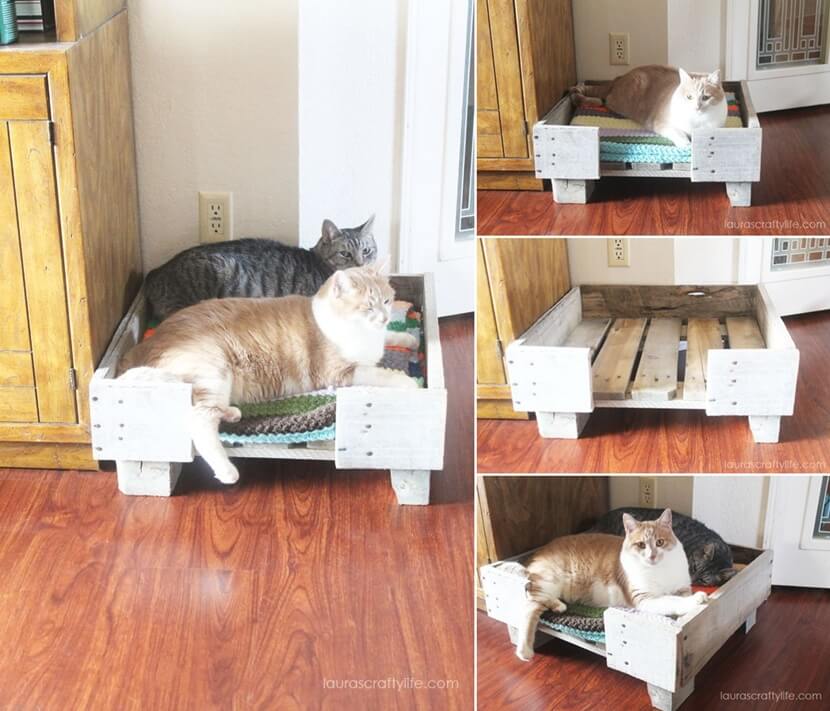10 DIY Cat Bed Ideas