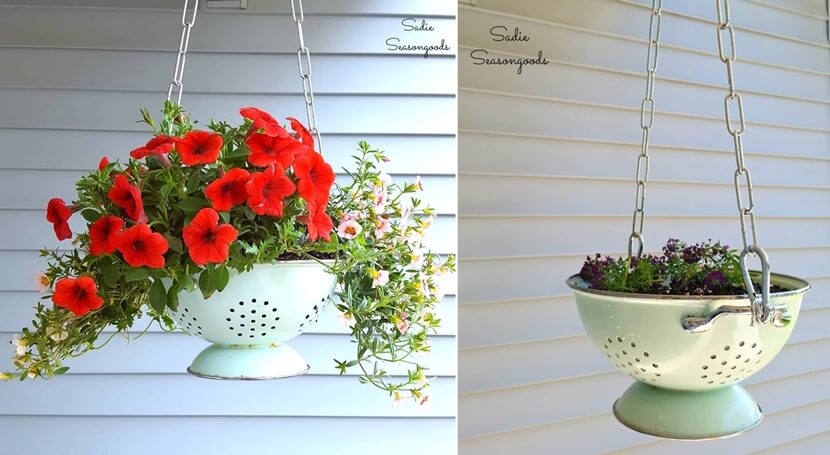 DIY Hanging Planter