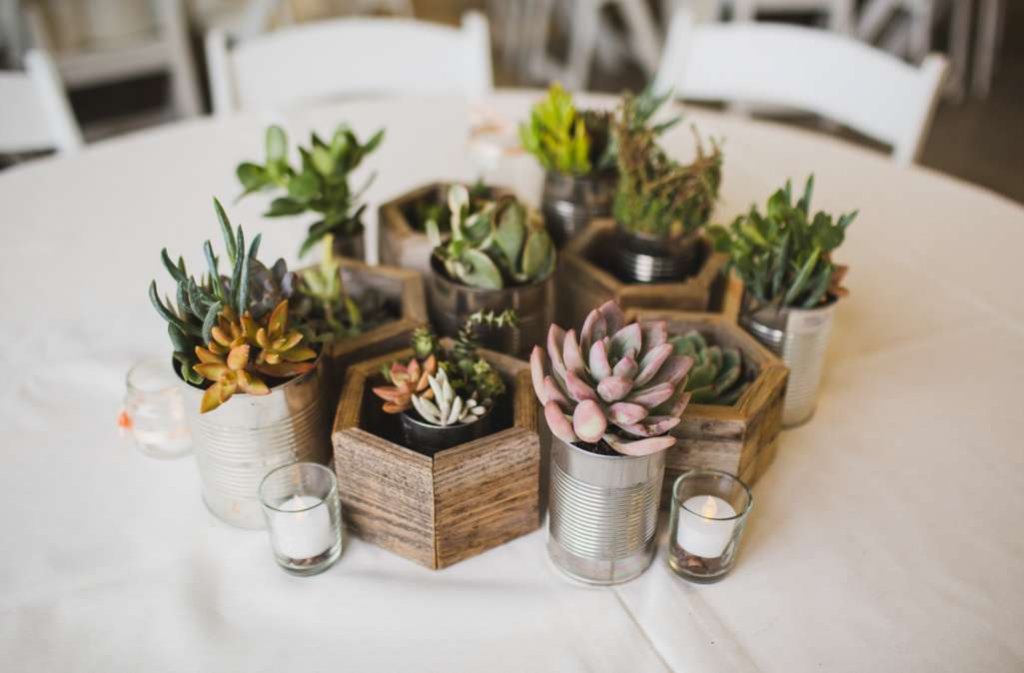 Recycled Succulent Planter