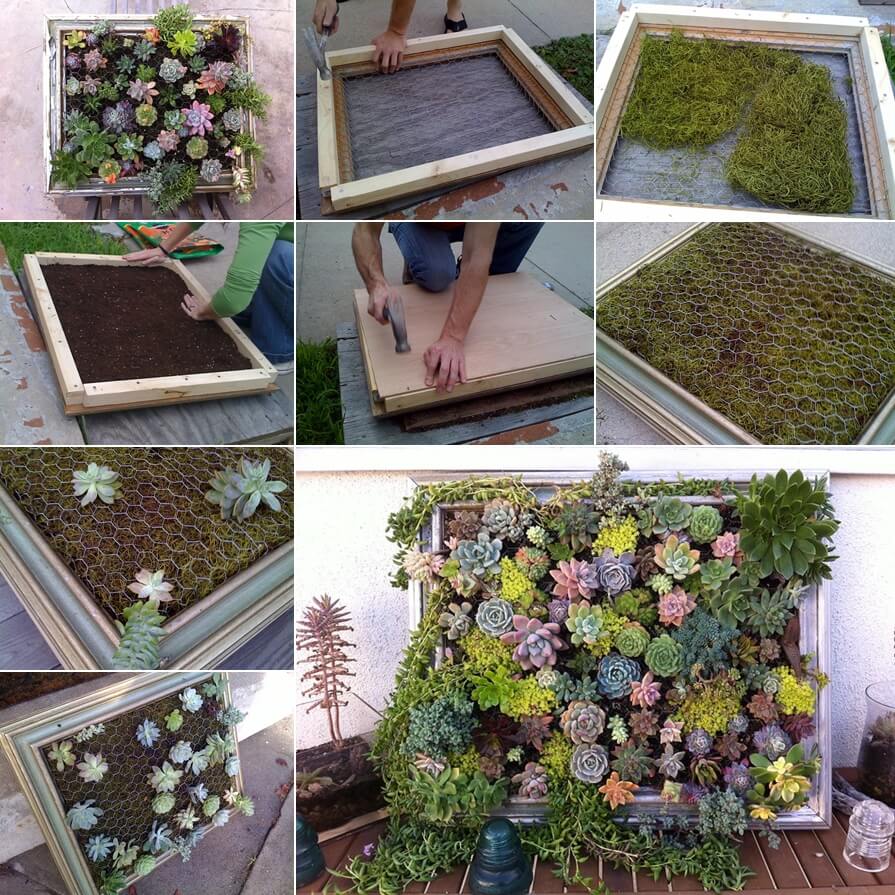 Recycled Succulent Planter