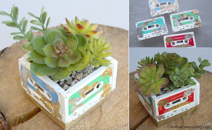 Recycled Succulent Planter