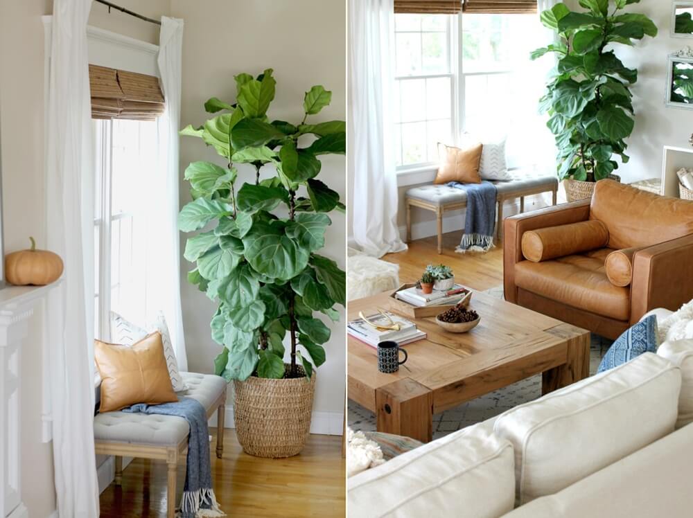Ways to Decorate Empty Corners