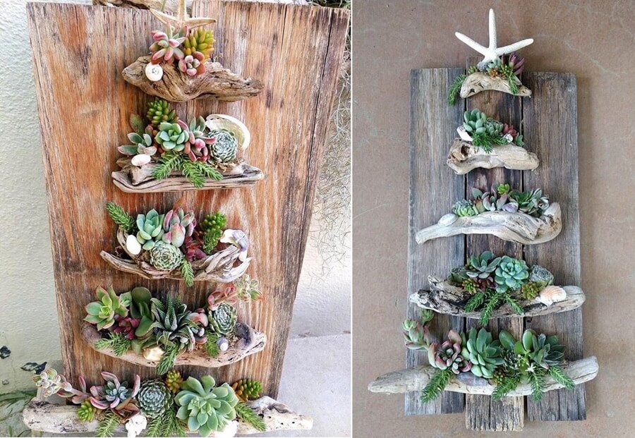 Succulent Planter Ideas