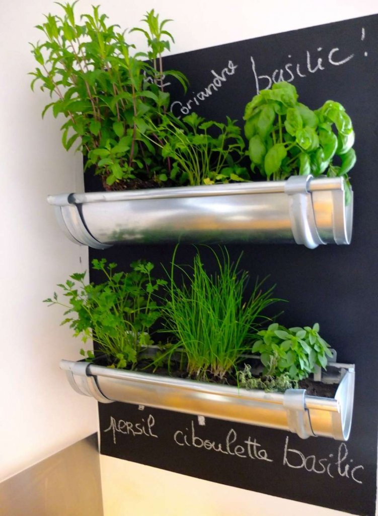 Indoor Kitchen Herb Gardens 