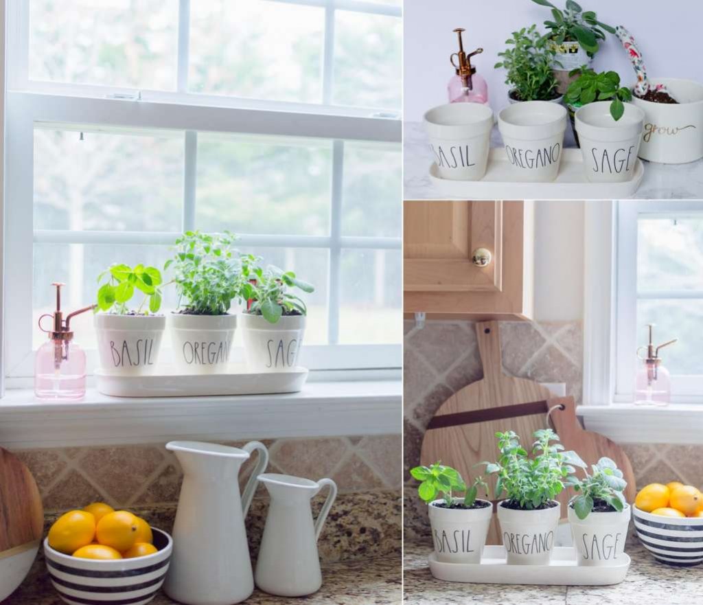 Indoor Kitchen Herb Gardens 