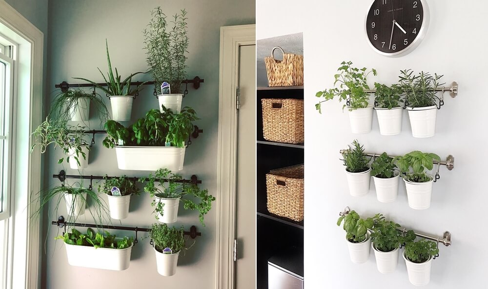 Indoor Kitchen Herb Gardens 