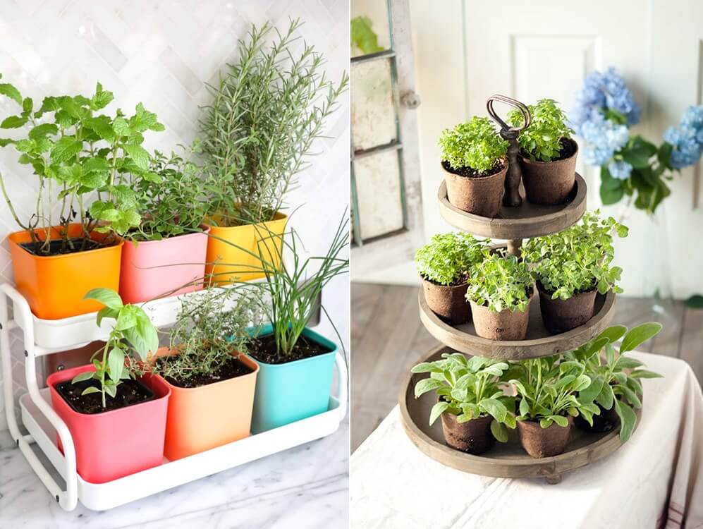 Indoor Kitchen Herb Gardens 