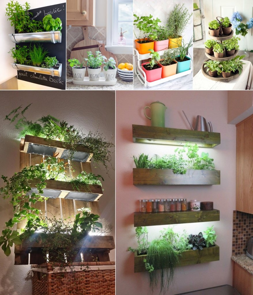 Indoor Kitchen Herb Gardens 