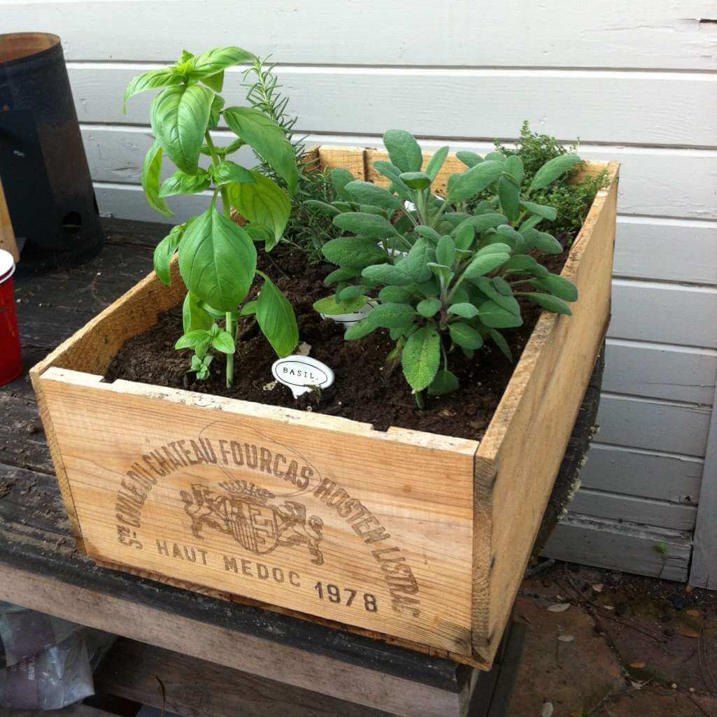 diy tabletop gardens 