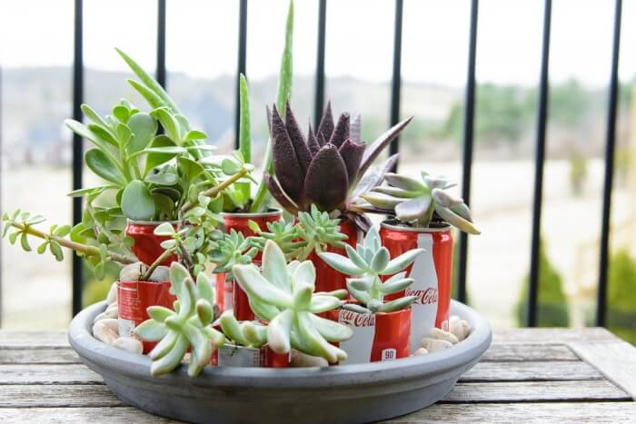 diy tabletop gardens 