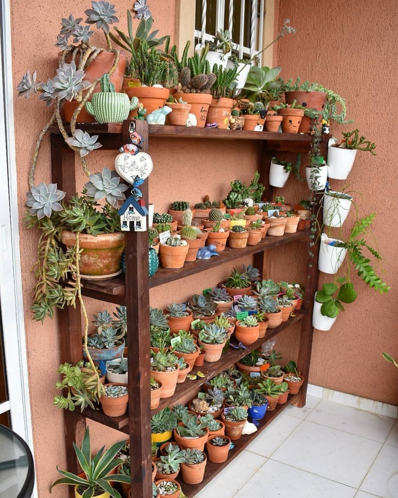 Wooden Shelves