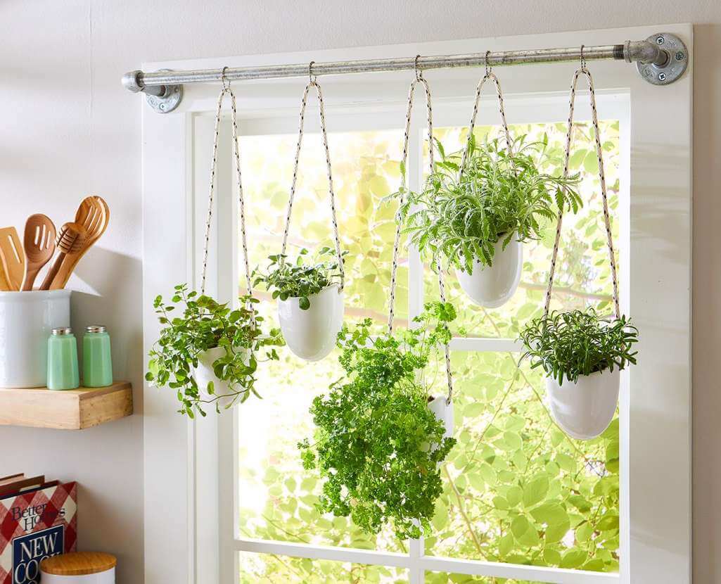 Ways to Hang Plants