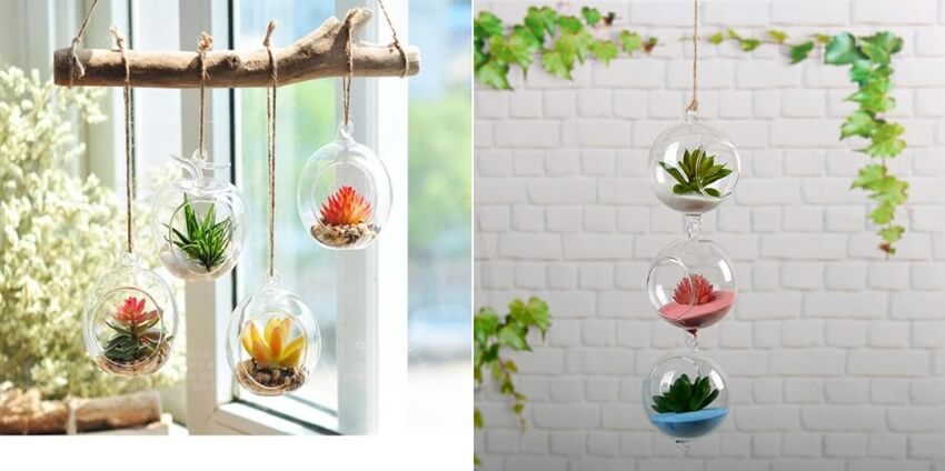 Ways to Hang Plants