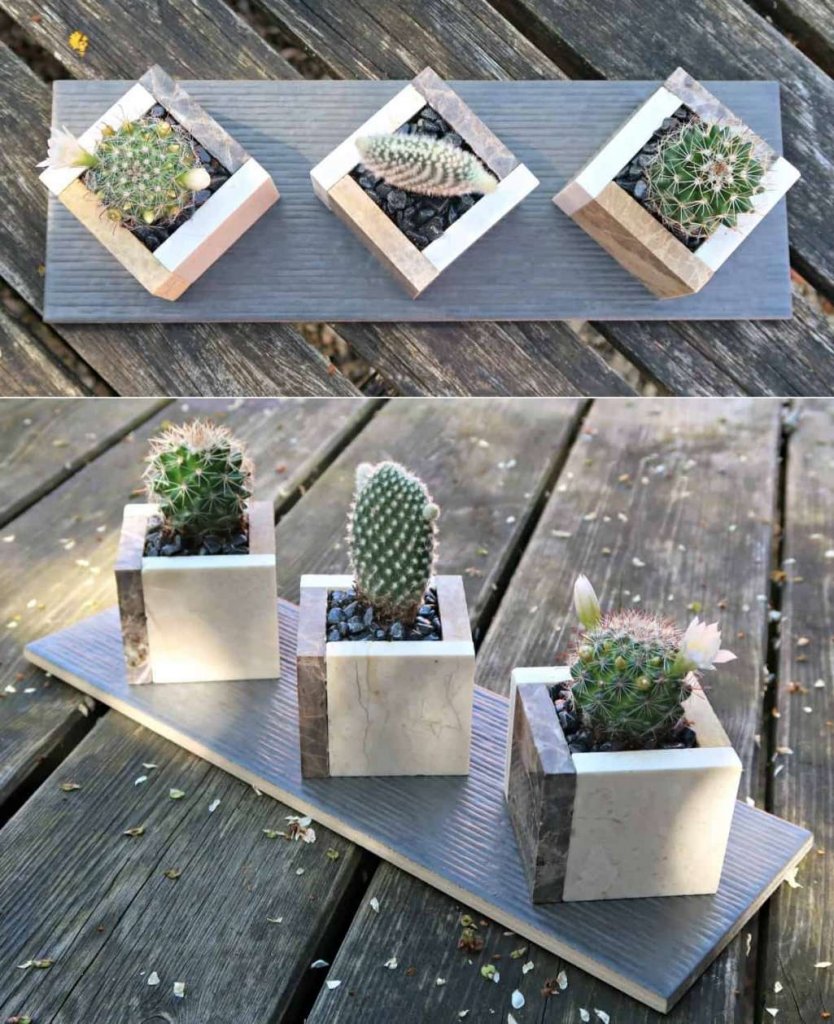 Cactus and Succulent Planter Ideas