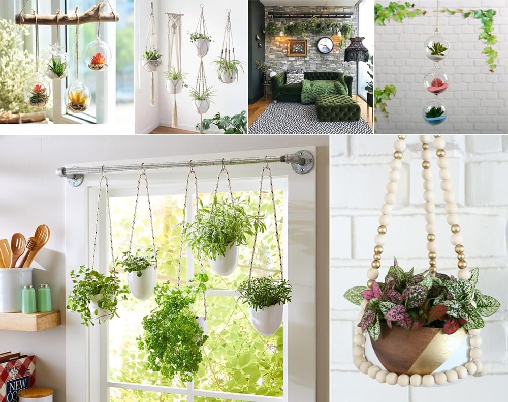 Ways to Hang Plants