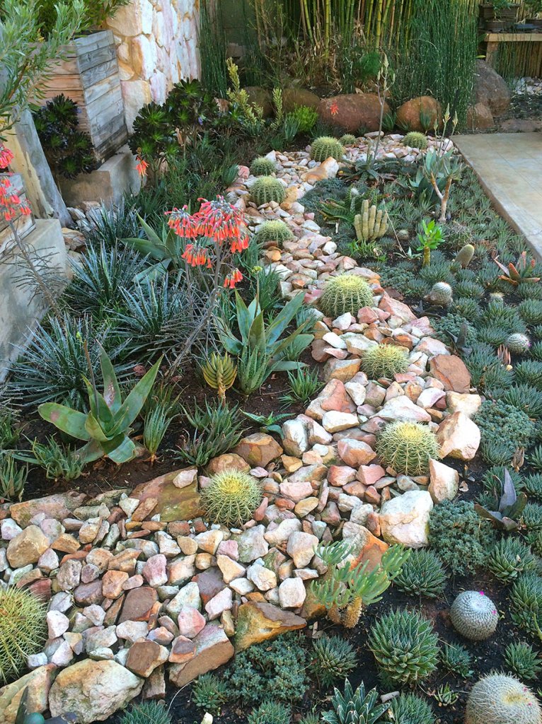 Rock Garden Ideas