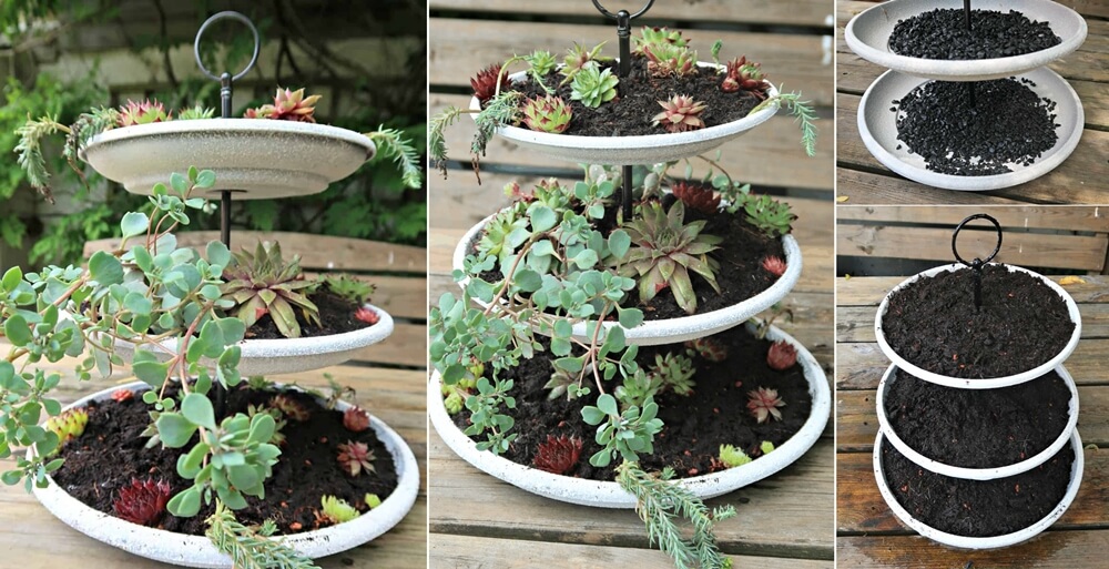 Tiered Planter Ideas