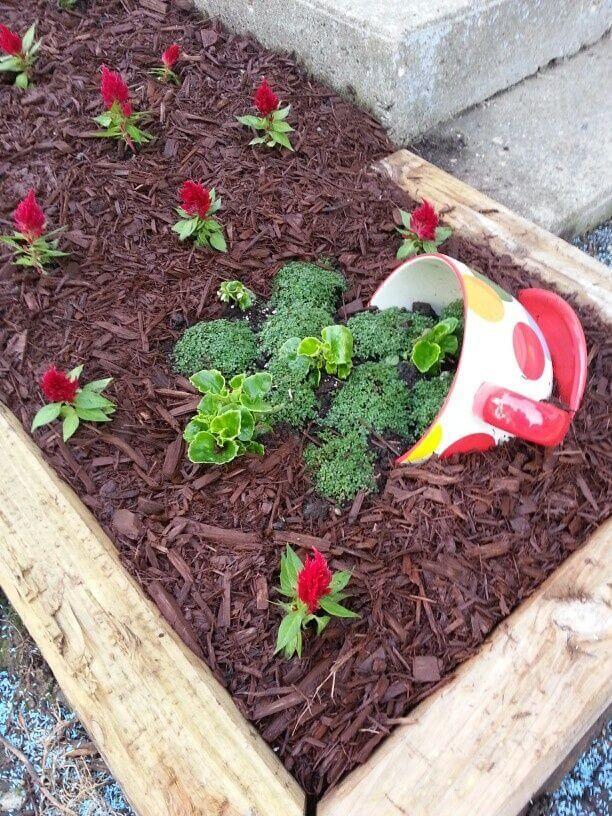 Cute Planter Ideas