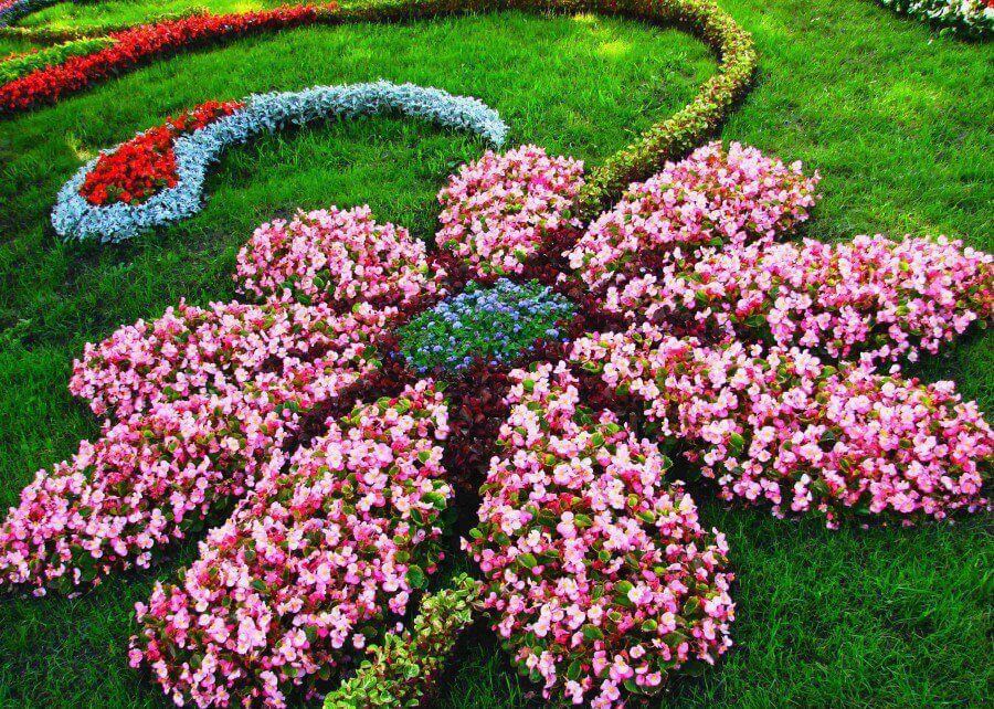 Landscaping Ideas With Flowers