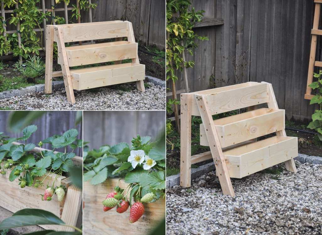 Ideas To Grow Strawberries