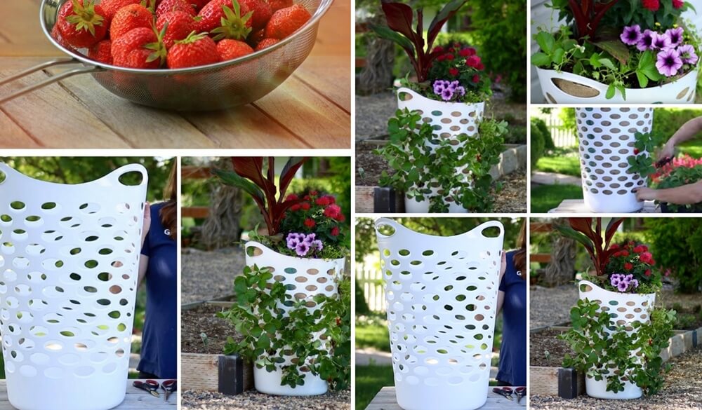 Ideas To Grow Strawberries