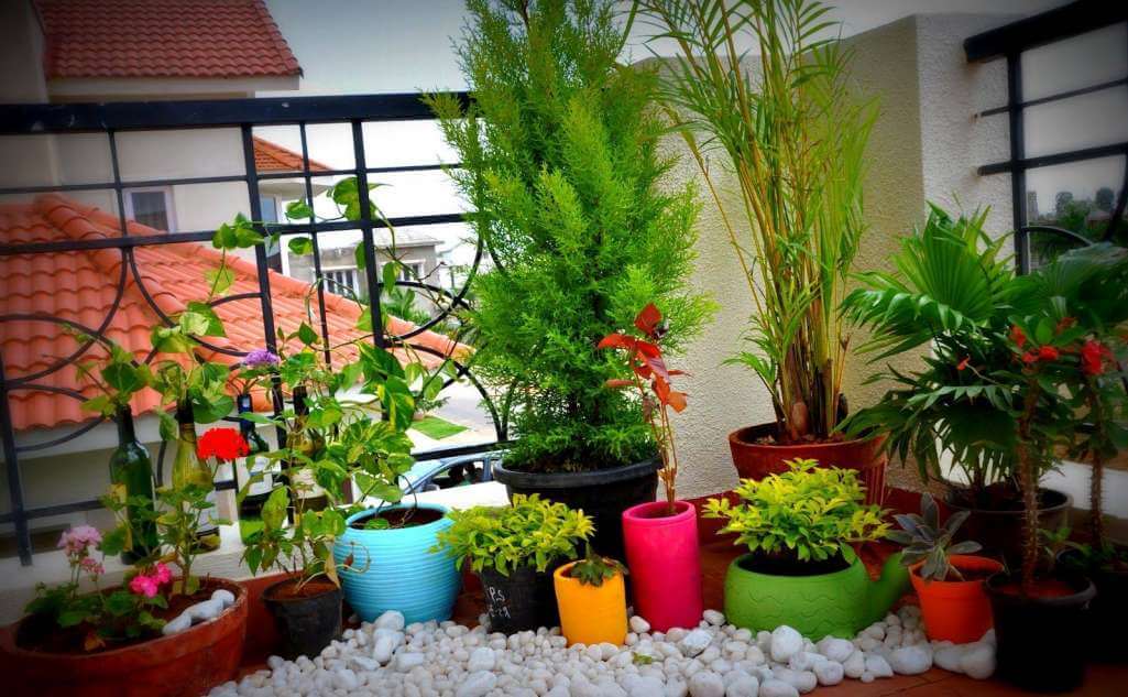 DIY Balcony Garden Ideas