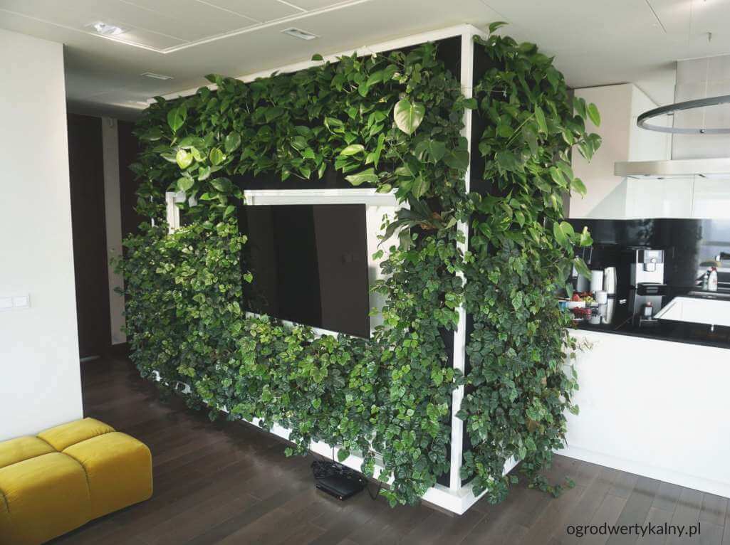 Benefits of Living Green Walls