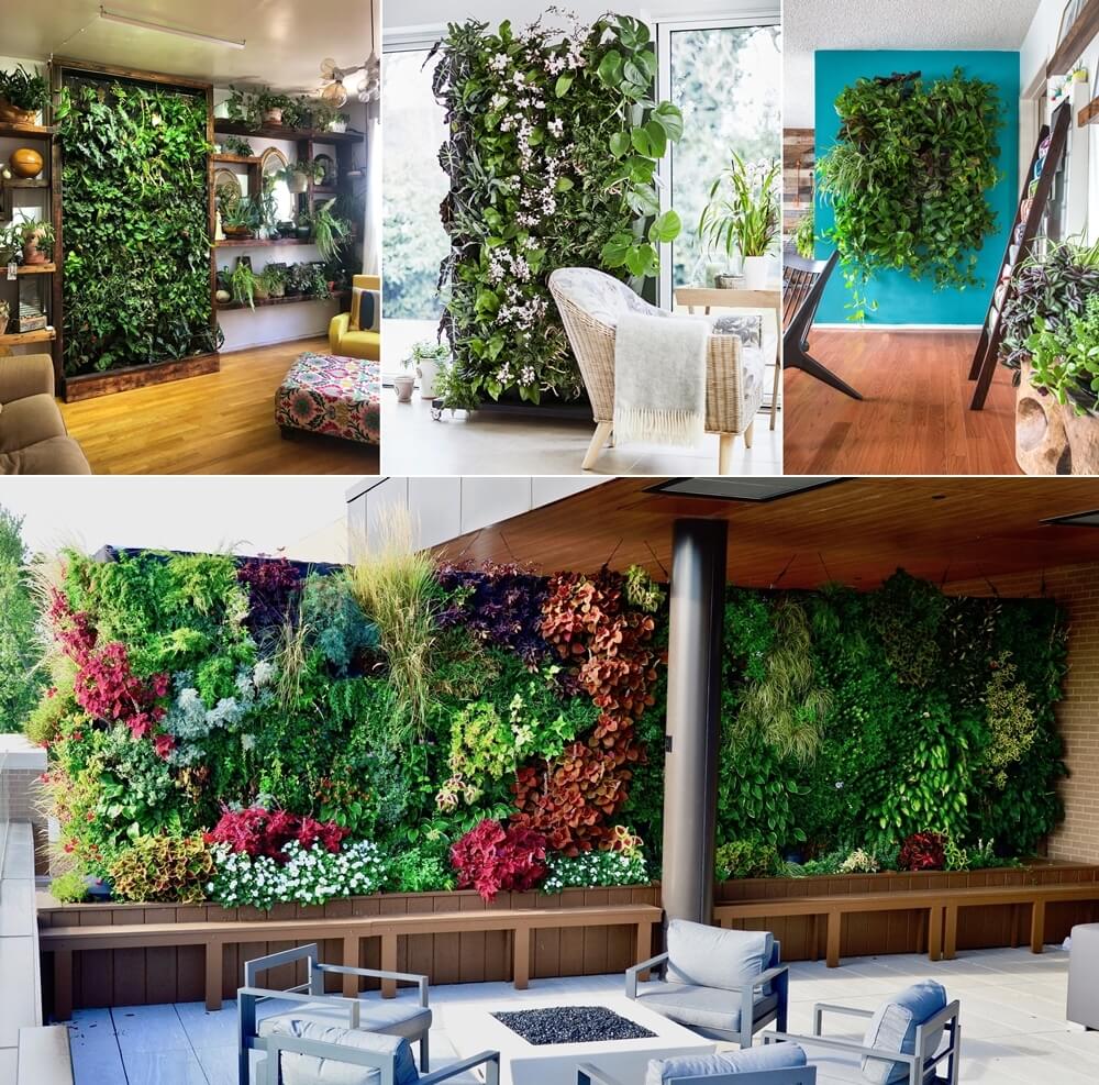 Benefits of Living Green Walls