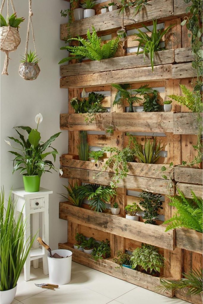 Creative Indoor Garden Ideas