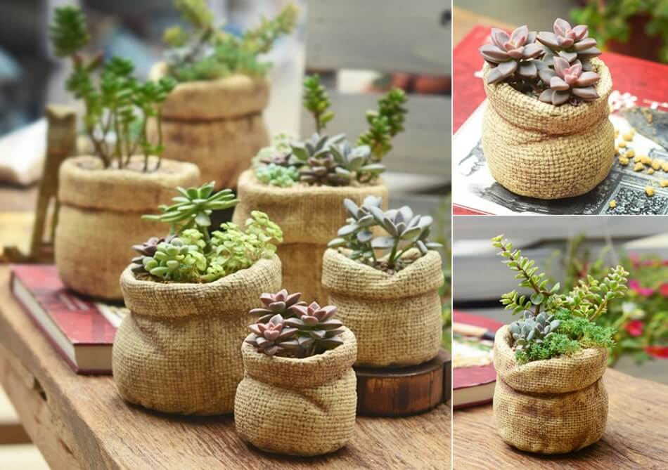 ceramic planter