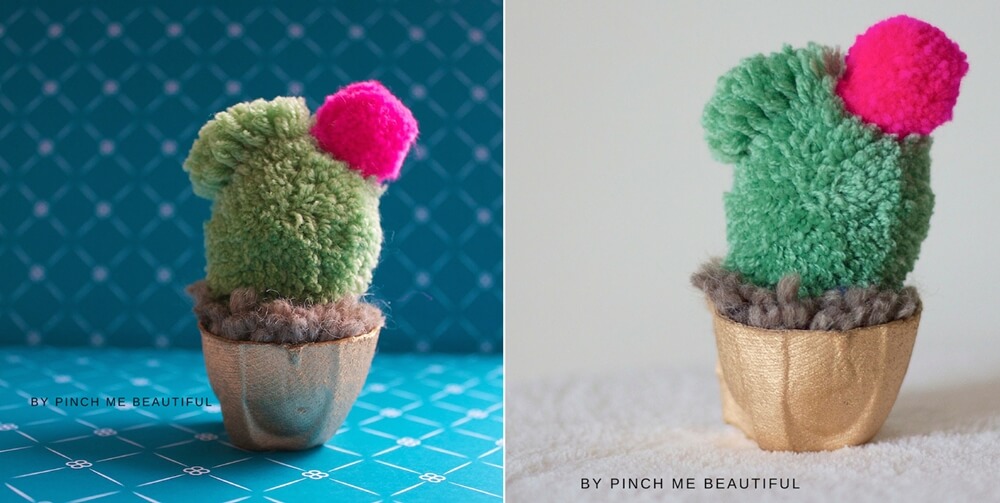 cactus crafts 